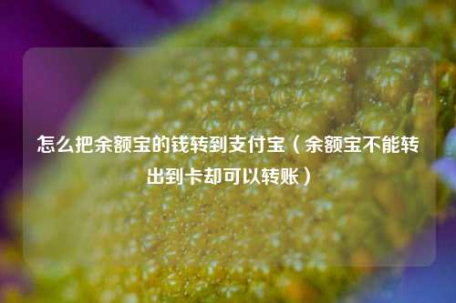 怎么把余额宝的钱转到支付宝（余额宝不能转出到卡却可以转账）