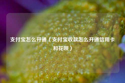 支付宝怎么开通（支付宝收款怎么开通信用卡和花呗）