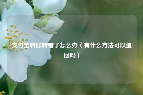 支付宝转账转错了怎么办（有什么方法可以追回吗）