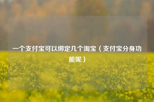 一个支付宝可以绑定几个淘宝（支付宝分身功能呢）