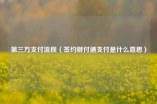 第三方支付流程（签约财付通支付是什么意思）