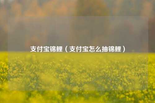 支付宝锦鲤（支付宝怎么抽锦鲤）