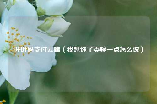 阡叶码支付云端（我想你了委婉一点怎么说）