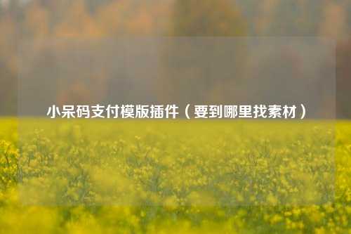 小呆码支付模版插件（要到哪里找素材）