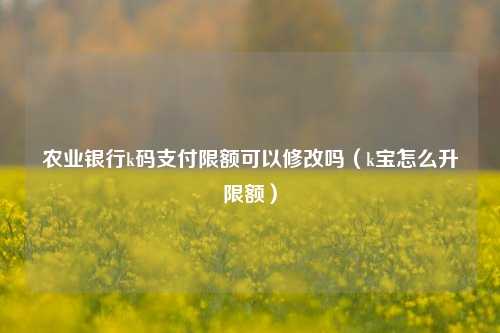 农业银行k码支付限额可以修改吗（k宝怎么升限额）