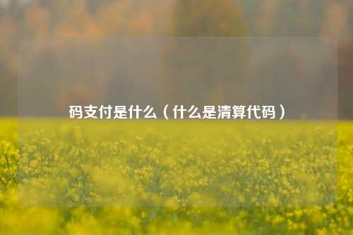 码支付是什么（什么是清算代码）