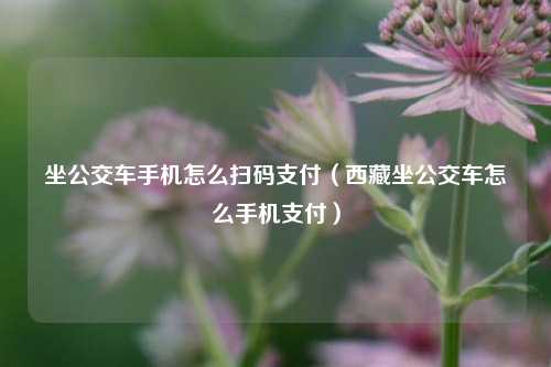 坐公交车手机怎么扫码支付（西藏坐公交车怎么手机支付）