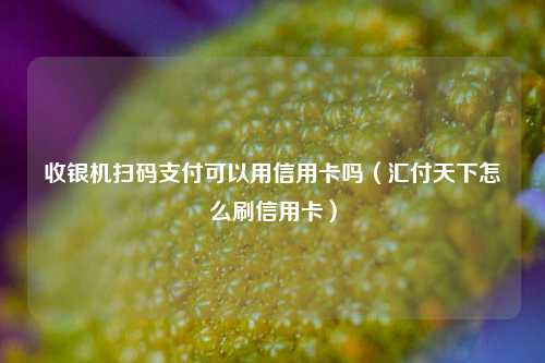 收银机扫码支付可以用信用卡吗（汇付天下怎么刷信用卡）