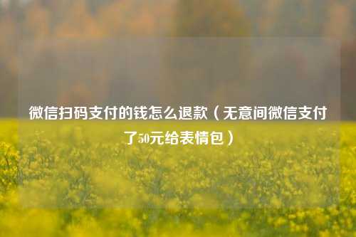 微信扫码支付的钱怎么退款（无意间微信支付了50元给表情包）