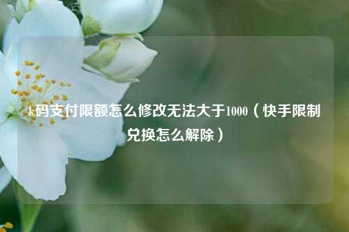 k码支付限额怎么修改无法大于1000（快手限制兑换怎么解除）