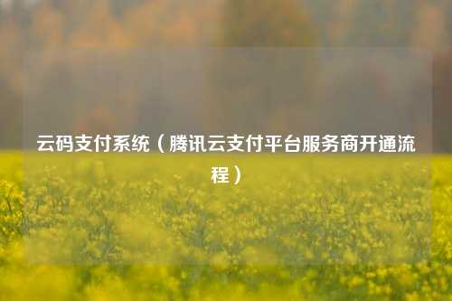 云码支付系统（腾讯云支付平台服务商开通流程）