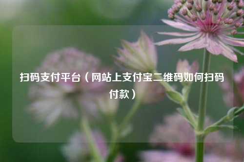 扫码支付平台（网站上支付宝二维码如何扫码付款）