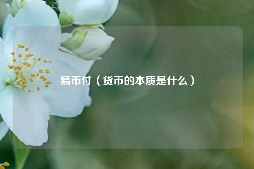 易币付（货币的本质是什么）