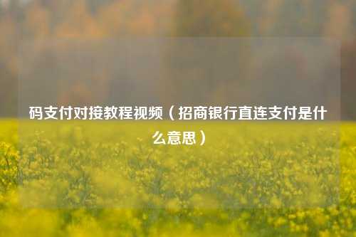 码支付对接教程视频（招商银行直连支付是什么意思）