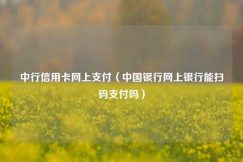 中行信用卡网上支付（中国银行网上银行能扫码支付吗）