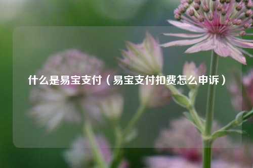 什么是易宝支付（易宝支付扣费怎么申诉）