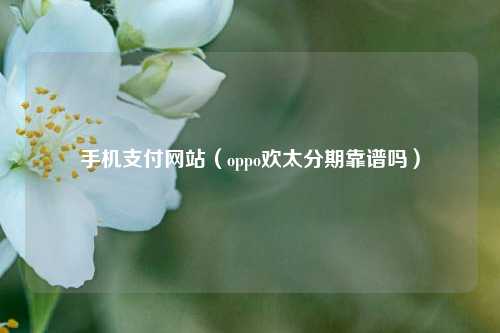 手机支付网站（oppo欢太分期靠谱吗）