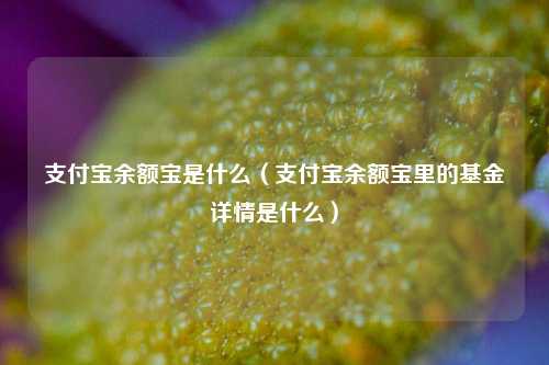 支付宝余额宝是什么（支付宝余额宝里的基金详情是什么）