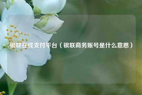 银联在线支付平台（银联商务账号是什么意思）