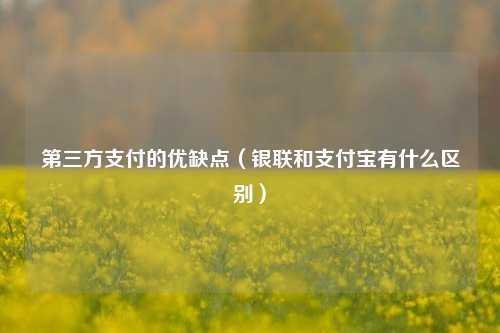 第三方支付的优缺点（银联和支付宝有什么区别）