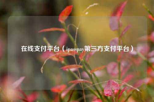 在线支付平台（ipasspay第三方支付平台）