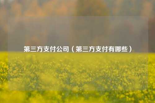 第三方支付公司（第三方支付有哪些）