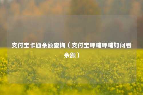 支付宝卡通余额查询（支付宝呷哺呷哺如何看余额）