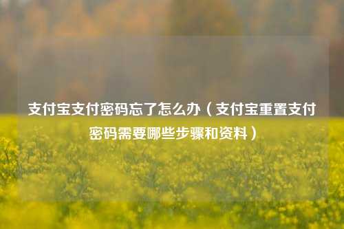 支付宝支付密码忘了怎么办（支付宝重置支付密码需要哪些步骤和资料）