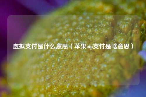 虚拟支付是什么意思（苹果iap支付是啥意思）