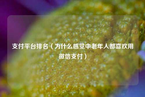 支付平台排名（为什么感觉中老年人都喜欢用微信支付）