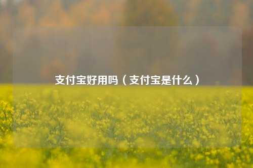 支付宝好用吗（支付宝是什么）