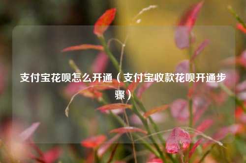 支付宝花呗怎么开通（支付宝收款花呗开通步骤）