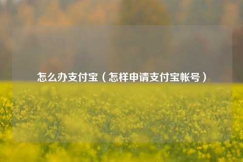 怎么办支付宝（怎样申请支付宝帐号）