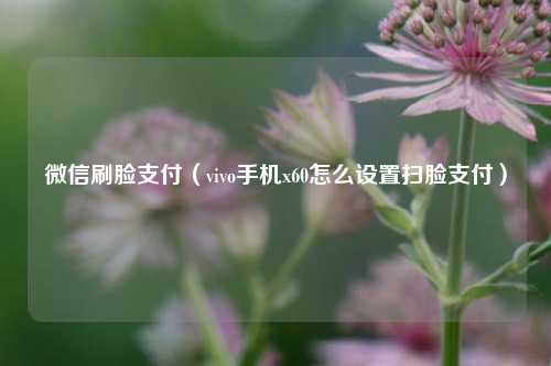 微信刷脸支付（vivo手机x60怎么设置扫脸支付）