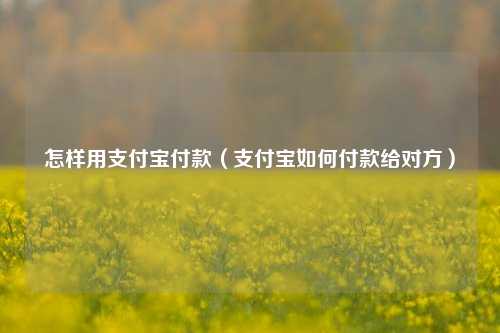 怎样用支付宝付款（支付宝如何付款给对方）