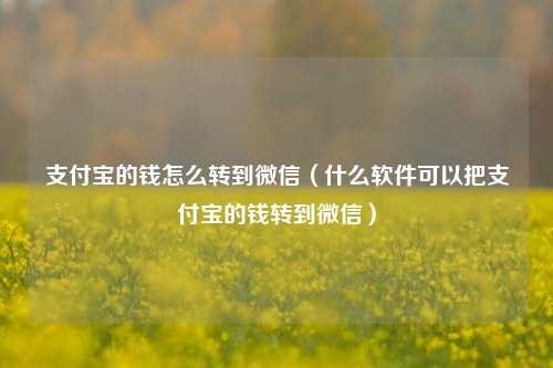 支付宝的钱怎么转到微信（什么软件可以把支付宝的钱转到微信）