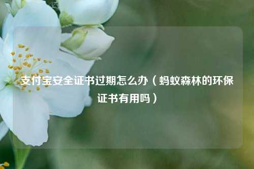 支付宝安全证书过期怎么办（蚂蚁森林的环保证书有用吗）