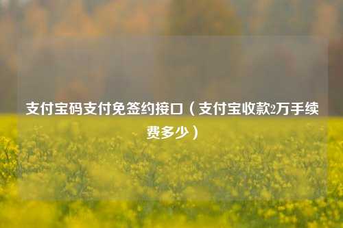 支付宝码支付免签约接口（支付宝收款2万手续费多少）