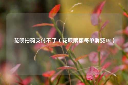 花呗扫码支付不了（花呗限额每单消费150）