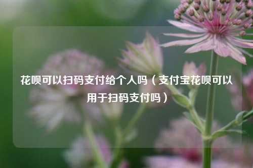 花呗可以扫码支付给个人吗（支付宝花呗可以用于扫码支付吗）