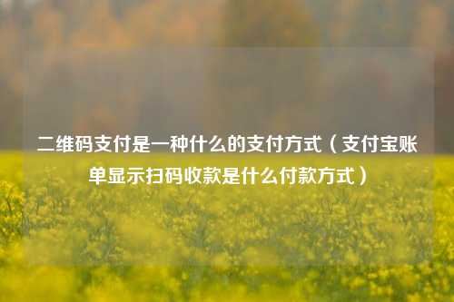 二维码支付是一种什么的支付方式（支付宝账单显示扫码收款是什么付款方式）