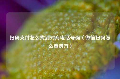 扫码支付怎么找到对方电话号码（微信扫码怎么查对方）