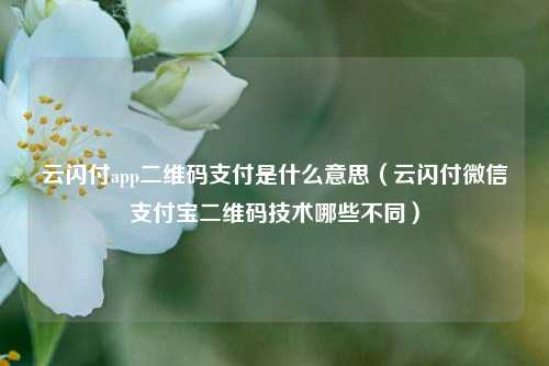 云闪付app二维码支付是什么意思（云闪付微信支付宝二维码技术哪些不同）