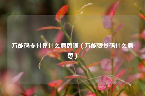 万能码支付是什么意思啊（万能赞赏码什么意思）