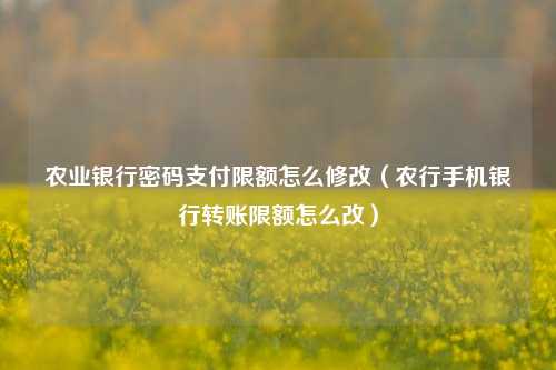 农业银行密码支付限额怎么修改（农行手机银行转账限额怎么改）