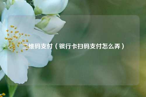 二维码支付（银行卡扫码支付怎么弄）