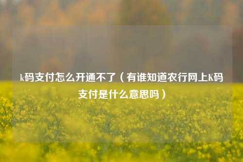 k码支付怎么开通不了（有谁知道农行网上K码支付是什么意思吗）