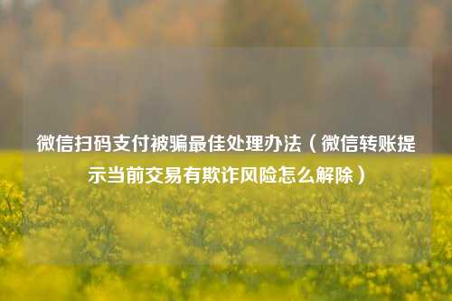 微信扫码支付被骗最佳处理办法（微信转账提示当前交易有欺诈风险怎么解除）