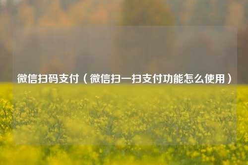 微信扫码支付（微信扫一扫支付功能怎么使用）