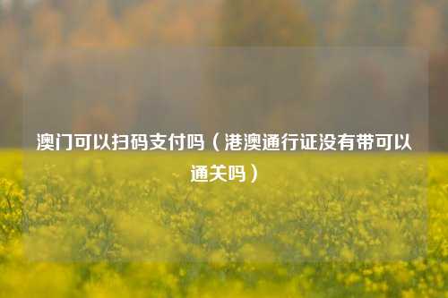 澳门可以扫码支付吗（港澳通行证没有带可以通关吗）